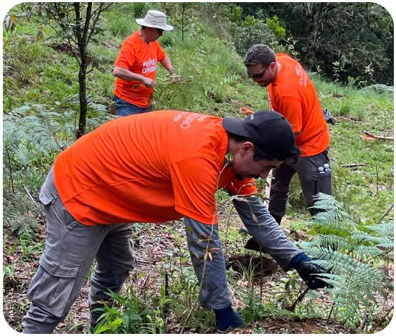 Regeneración ambiental